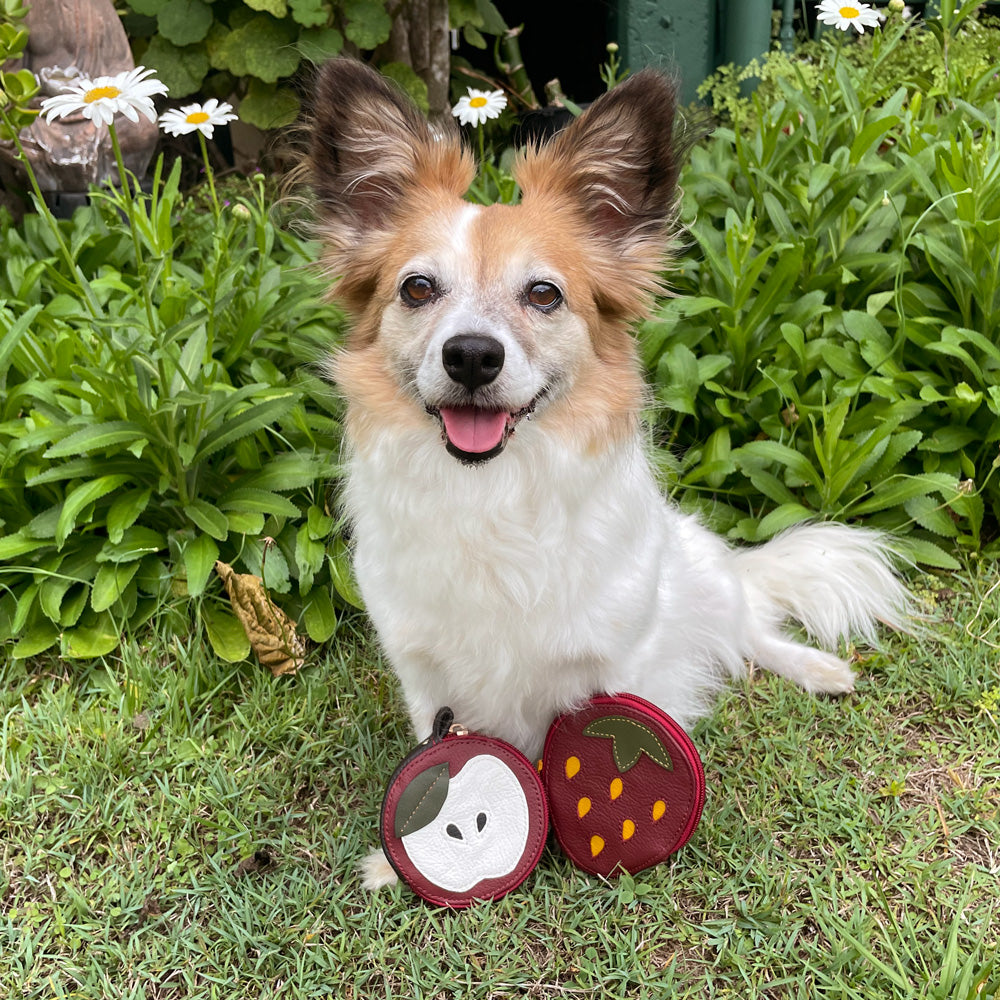 The Piquant Pouch PDF Pattern - With SVGs + Video Tutorials!